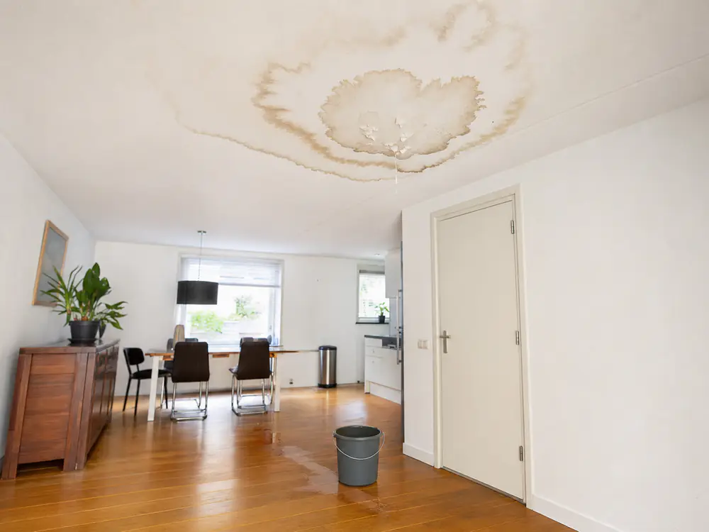 Lekkageplek op een wit plafond, met een emmer eronder